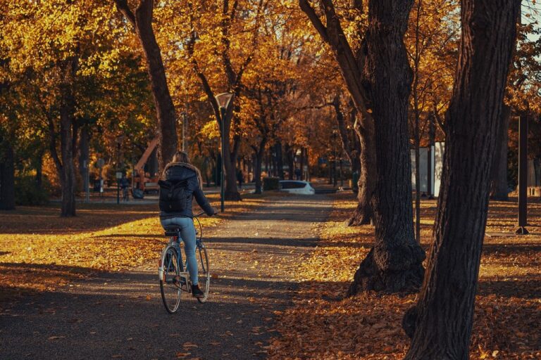 A woman cycling through a London park in autumn, representing road safety and awareness around cycling accident compensation.