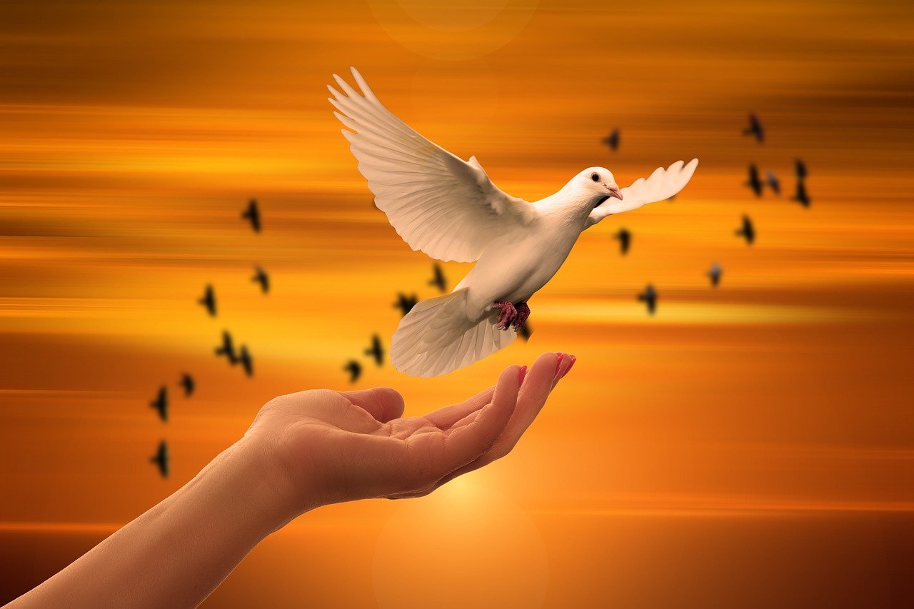 A white dove flying from an open hand at sunset, representing peace of mind and security offered by Personal Injury Trusts.