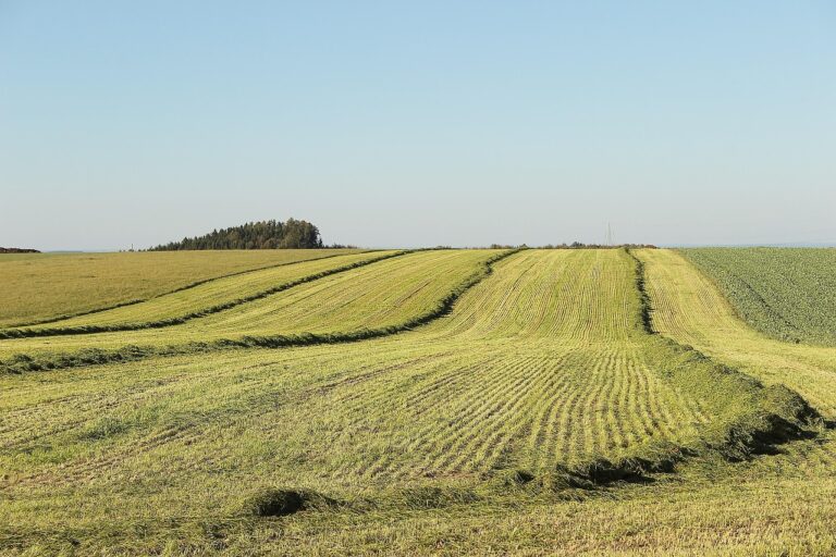 Unregistered land in the UK shown as a large, freshly cut agricultural field under a clear blue sky.